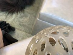 -瑞派紫金宠物医院24小时·骨科·中兽医·重症转诊中心(番禺大石院)