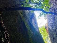 -汤旺河林海奇石景区