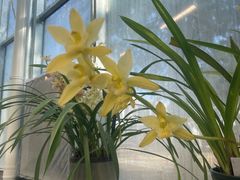 -国家植物园南园