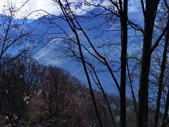 -九皇山景区