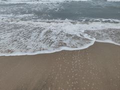 -红月湾海鲜饭店•沙滩海景(双月湾店)