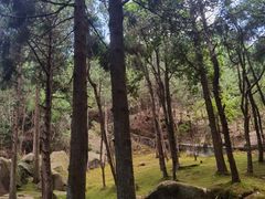 -玉苍山国家森林公园