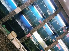 -桐庐窄溪野鱼馆