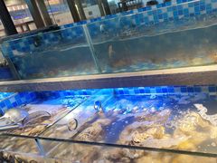 -奢谷·海鲜自助(南海万科店)