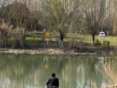 -九里河湿地公园