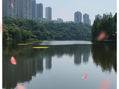 -重庆彩云湖湿地公园