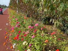 -上海长兴岛郊野公园