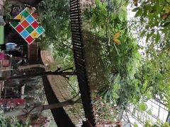 -呀路古热带植物园