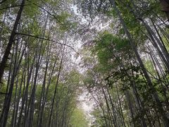 -敬亭山风景名胜区