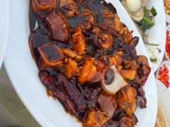 -旗鱼海番村(Orang Asli)