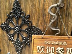 -雪灵魔法世界SHELLY’S TAROT(大良桂畔里店)