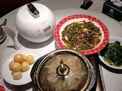 -新概念来凤鱼(璧山店)