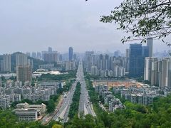 -板樟山森林公园