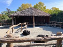-上海野生动物园