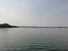 -丁香湖公园
