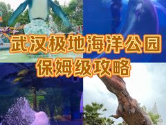 -海合安武汉极地海洋公园