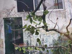 -无锡动物园·太湖欢乐园