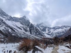 -金鼎雪山牦牛杂火锅(理县总店)