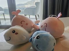 -三亚亚特兰蒂斯度假区