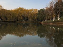 -杭州城北体育公园