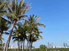 -福田红树林生态公园