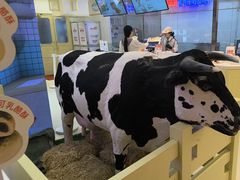 -红星前进面包牛奶公司(君太店)