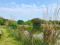 -福建鲤鱼洲酒店