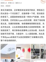 -诗全发型