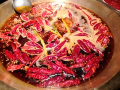 -小龙坎火锅(春熙太古里店)