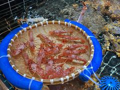 -宁海食府·涌宴(真和店)