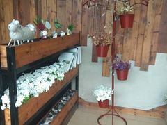 -彼芝奇比萨(红坊店)