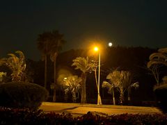 -椰风寨