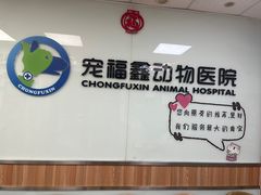 -宠福鑫动物医院(城北分院)