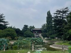 -国家植物园南园