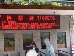 -将军关探险漂流