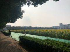 -南京信息职业技术学院