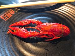 -红钳侠小龙虾·烧烤(中赢康康谷店)
