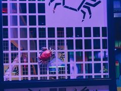 -蛮横肉蟹煲(印象城店)