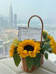 -圣贝拉母婴护理中心(深圳莱佛士店)