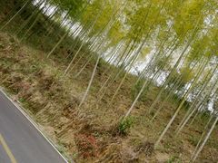 -灵山景区梯田