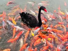 -春晖园度假酒店温泉