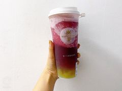 多肉葡萄-树夏(建设路店)