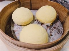 -陶陶居酒家(SM二期购物广场店)