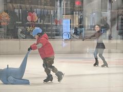 -TheRink大零溜冰场(IFS国金中心店)