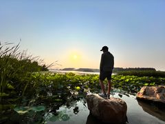 -丁香湖公园