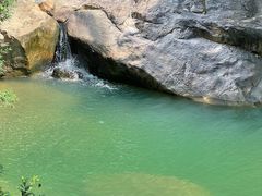 -广州白江湖森林公园