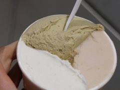 无花果叶-Dip in Gelato(富民路店)