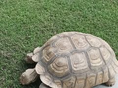 -广州长隆飞鸟乐园