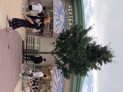 -喜茶(迪士尼小镇DP店)