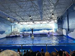 -秦皇岛乐岛海洋王国